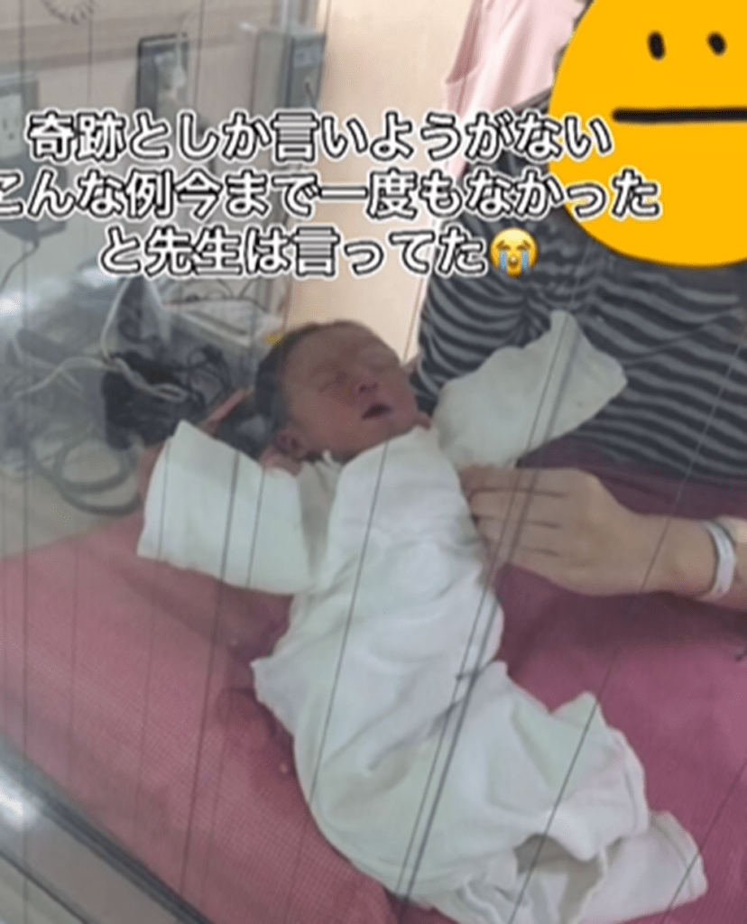 奇跡としか…（@ymr_ymr_354さんより提供）