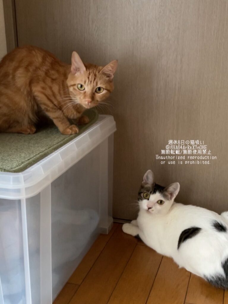 【実際の画像】　現在の様子