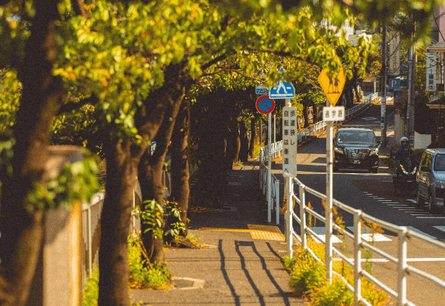 【画像】　保護者会で映された写真