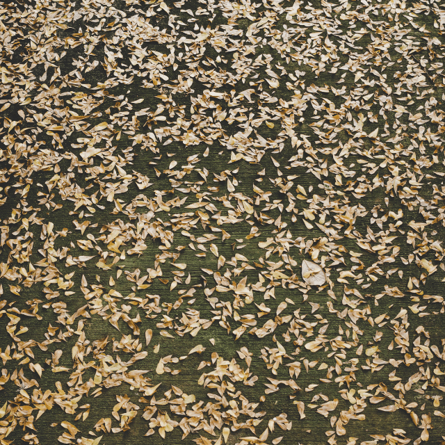 【画像】　総務が見せてきたもの