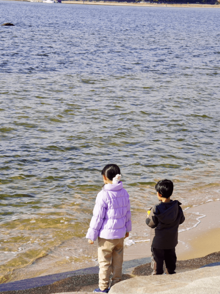 海岸の様子（@sato298さんより提供）