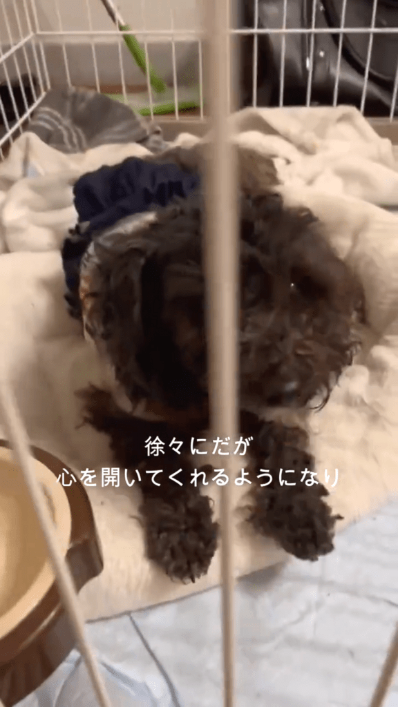 心を開き始める（@bugzamraiさんより提供）