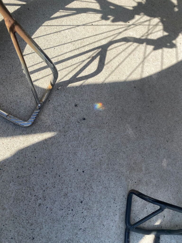 【実際の写真】娘さんが見つけたモノ