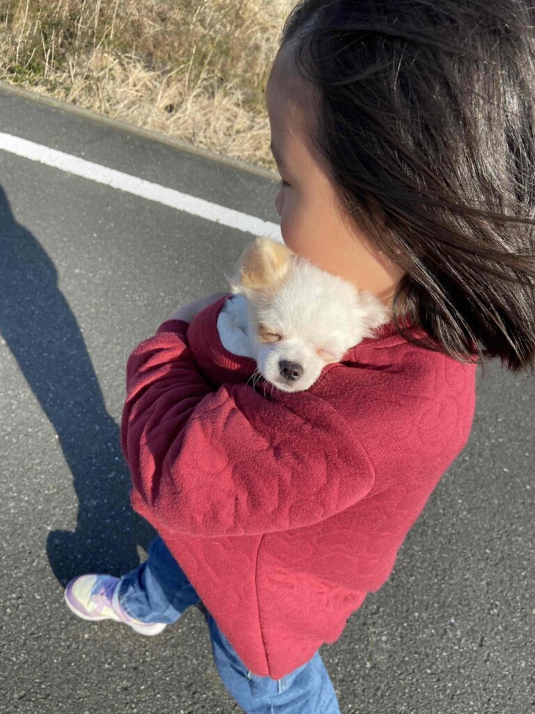 「モップかな？」床に落ちている黒い物提供元：＠aotareさん（TikTok）