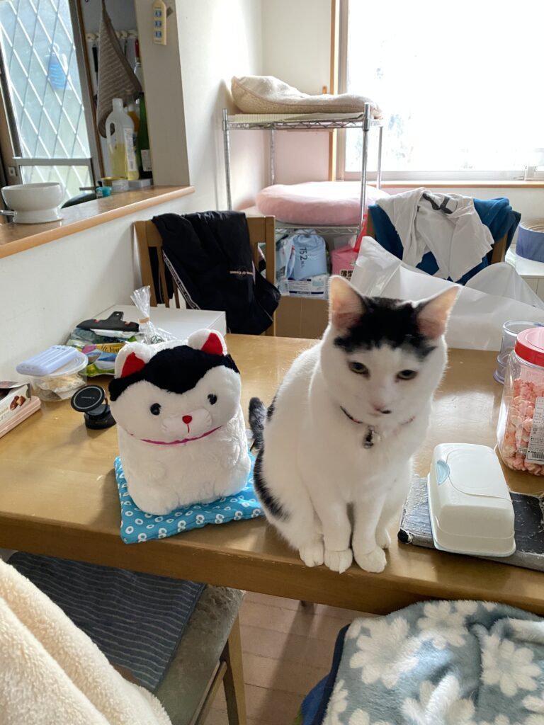 あんずちゃん③（＠user58652884610054さんより提供）