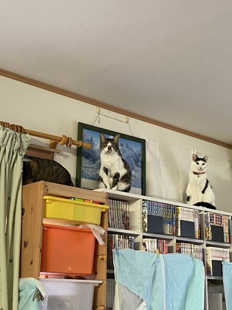 あんずちゃん②（＠user58652884610054さんより提供）