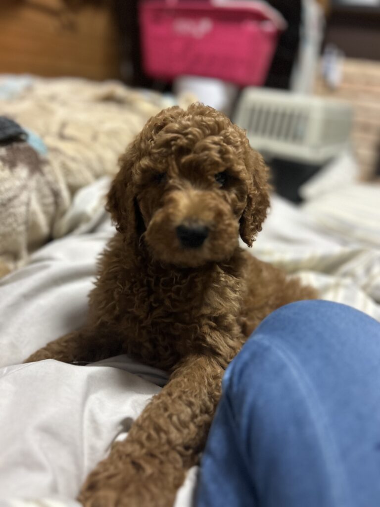 【実際の写真】声をかけた直後の光景