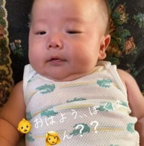 【実際の写真】2ヶ月後の様子と現在の姿