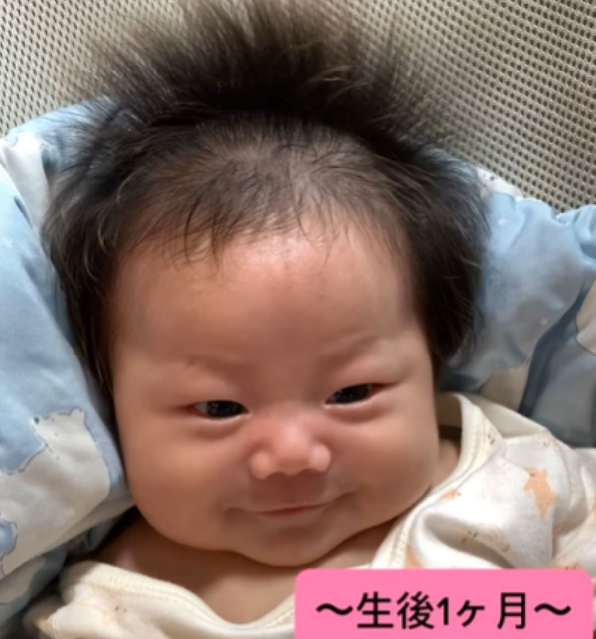 フサフサの爆毛で生まれた赤ちゃん。しかし4年後…現在の姿が話題に「思わず笑った」「ピザカッター」「面白過ぎる」