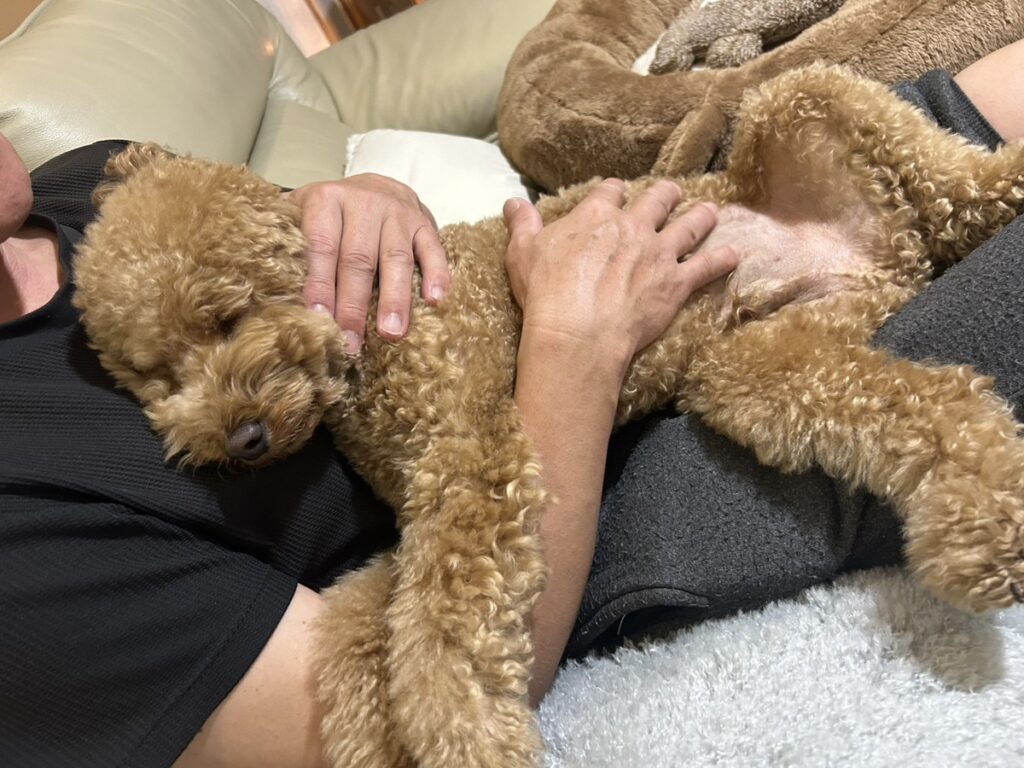 普段の様子①（@cha_kotaroさんより提供）