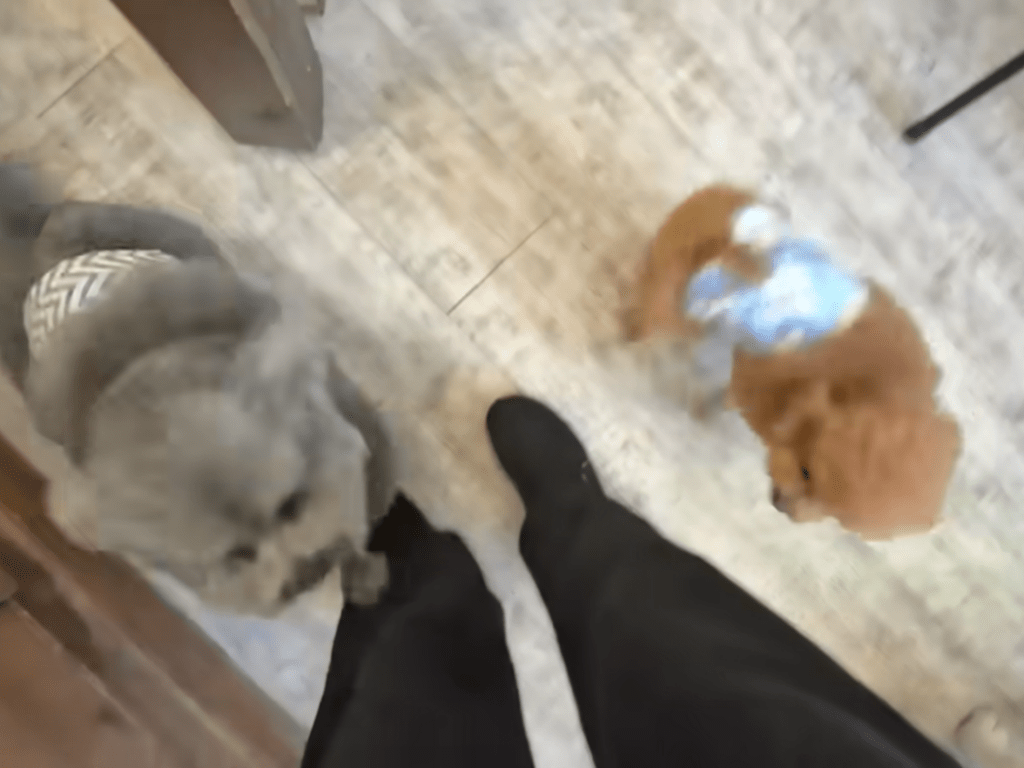 これからカットに行ってきます（＠meiyuzuponさんより提供）