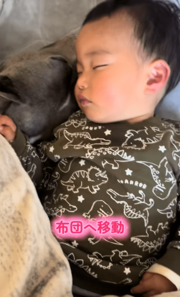 布団へ移動（＠yume_harryさんより提供）