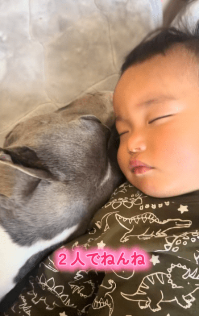 仲良く就寝（＠yume_harryさんより提供）