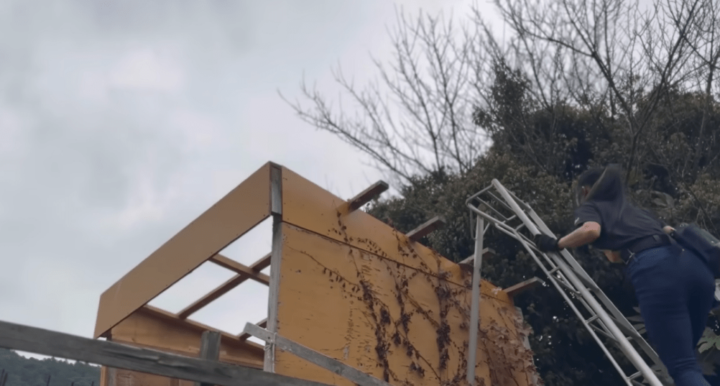 解体開始（＠くまの里山日記さんより提供）