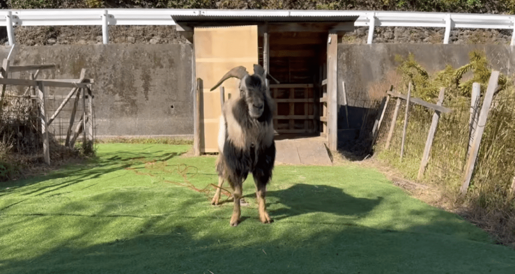 改装後の小屋（＠くまの里山日記さんより提供）