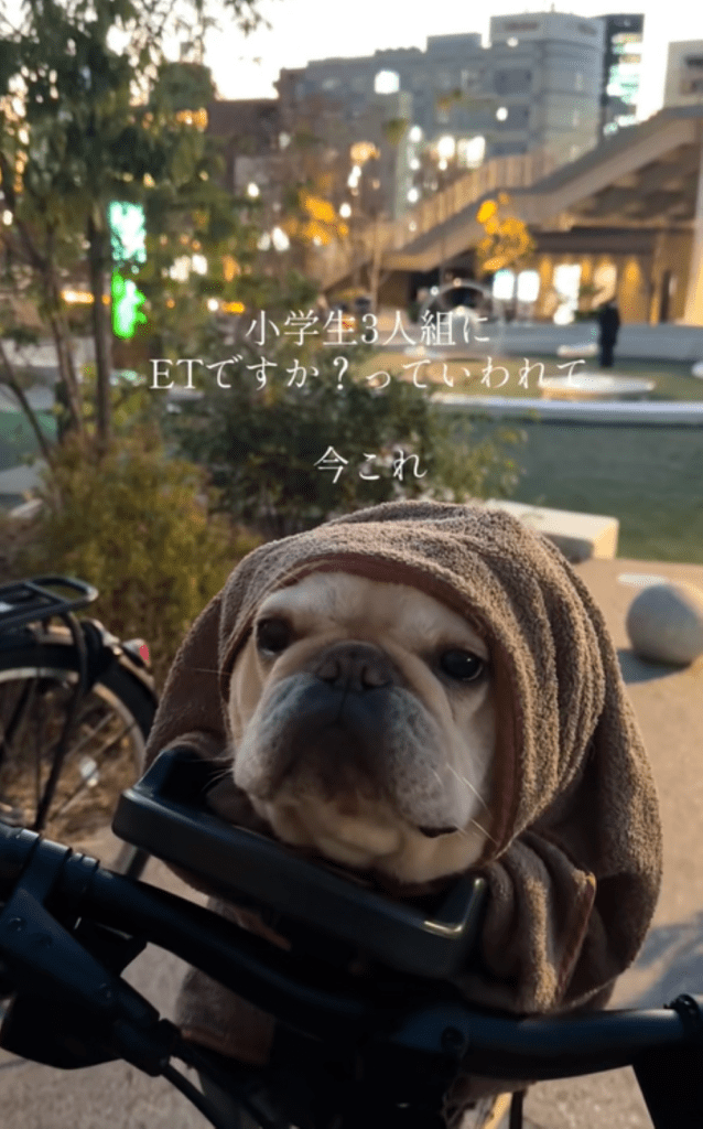 【実際の写真】小学生にE.Tと言われたモノ