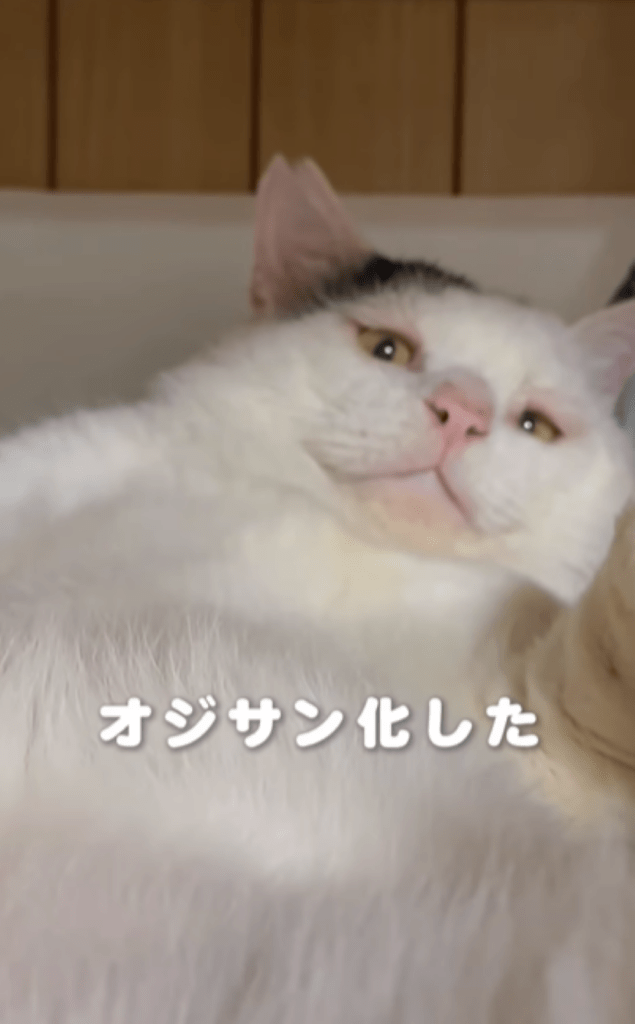 まさかの変化が！？（＠yuki_animalsさんより提供）