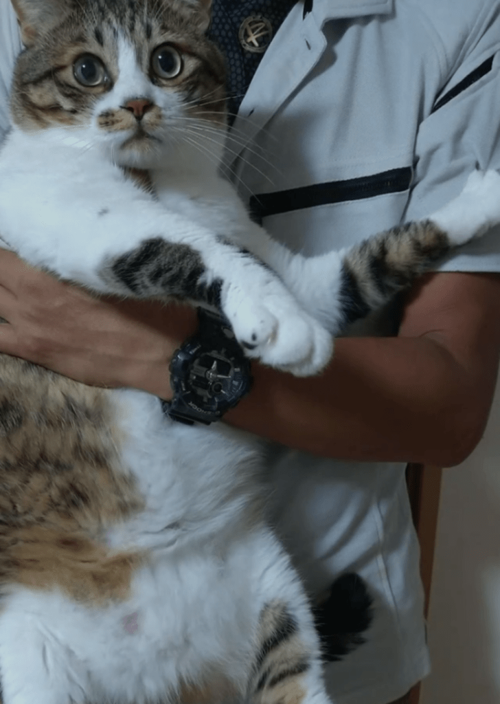 これからも元気に（@naminamichamさんより提供）