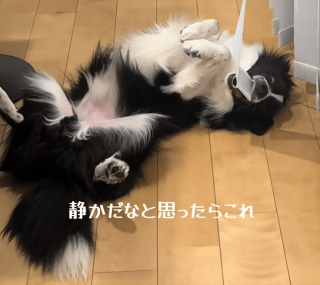 【実際の写真】部屋を見回した結果