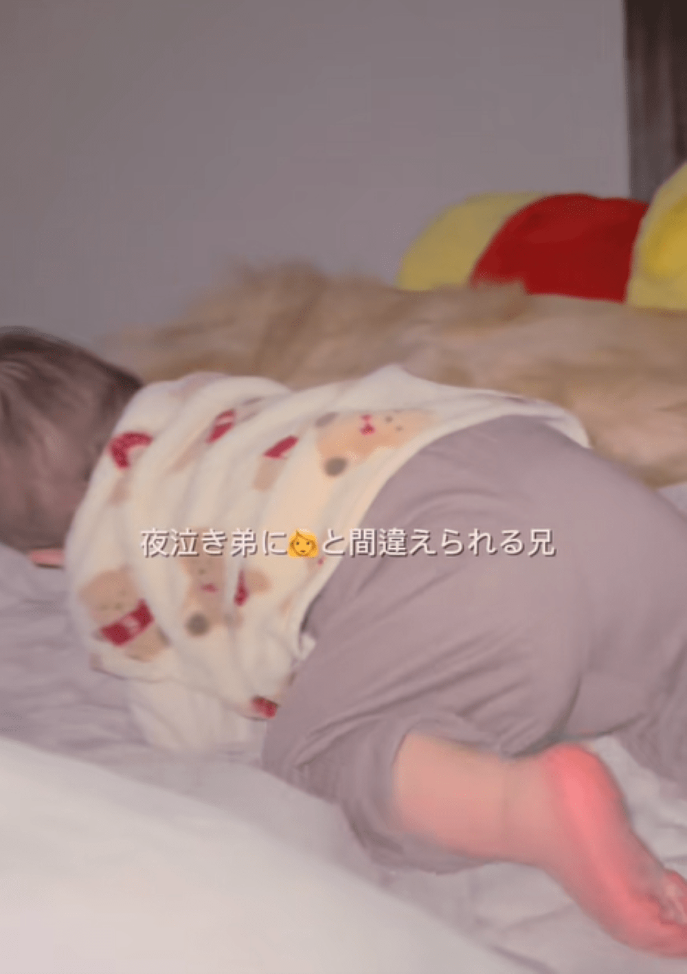 夜泣き中の10ヶ月息子。ぐずって愛犬に突撃するが…まさかの展開に「暖かそうなお布団」「さすが」