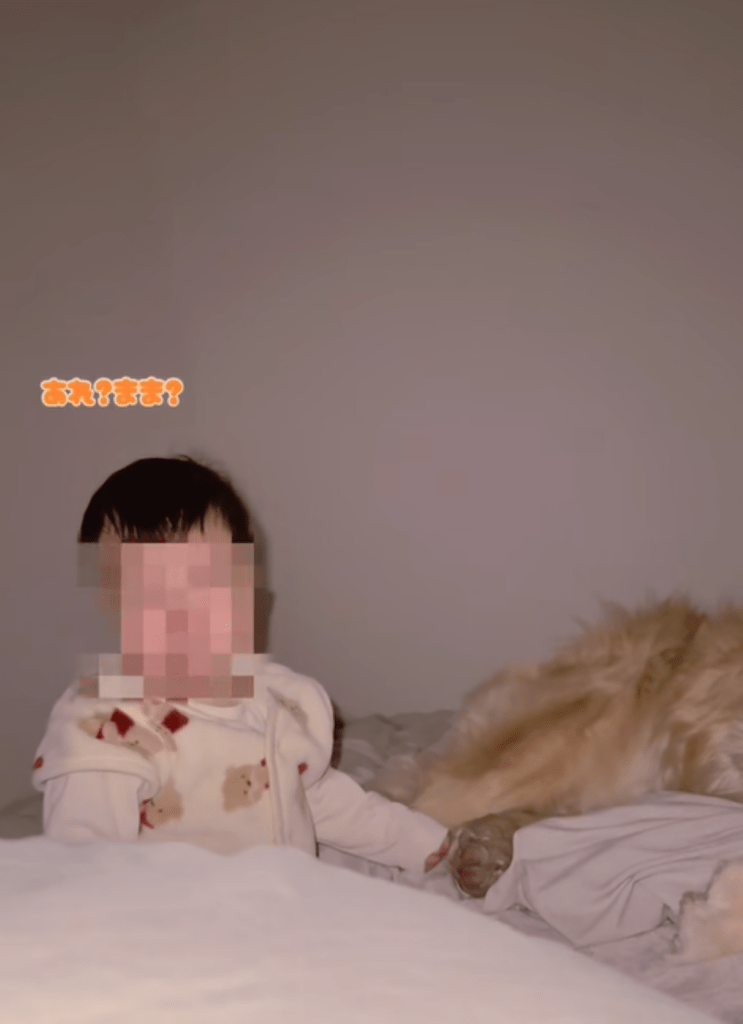 ママさんに気づいた息子さん（＠meluuu927さんより提供）