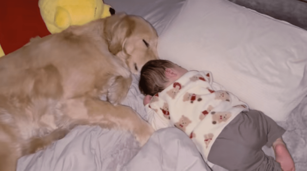 一緒に眠る2人（＠meluuu927さんより提供）