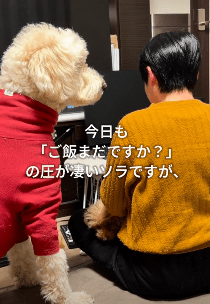 【実際の写真】視線の正体