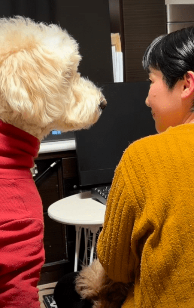 パソコンでの作業中に…（@cocoraysoraさんより提供）