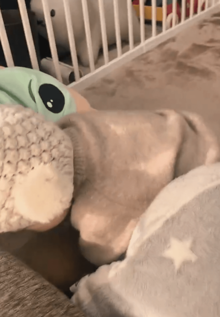 【実際の写真】息子さんの本当の目的