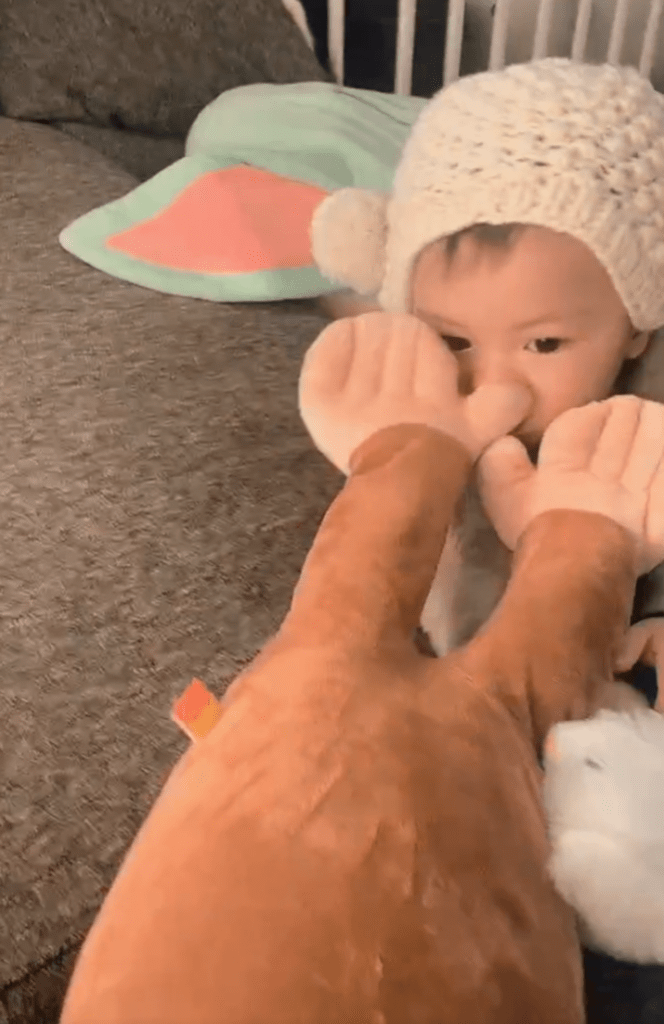 目的はパパさんじゃなくて“ぬいぐるみ”でした（@richan0612さんより提供）