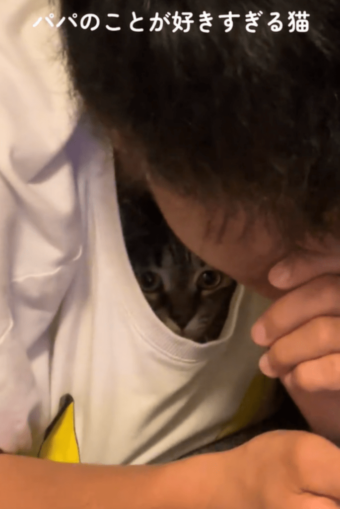 服の中に入るわさびちゃん（＠3cats.motherさんより提供）