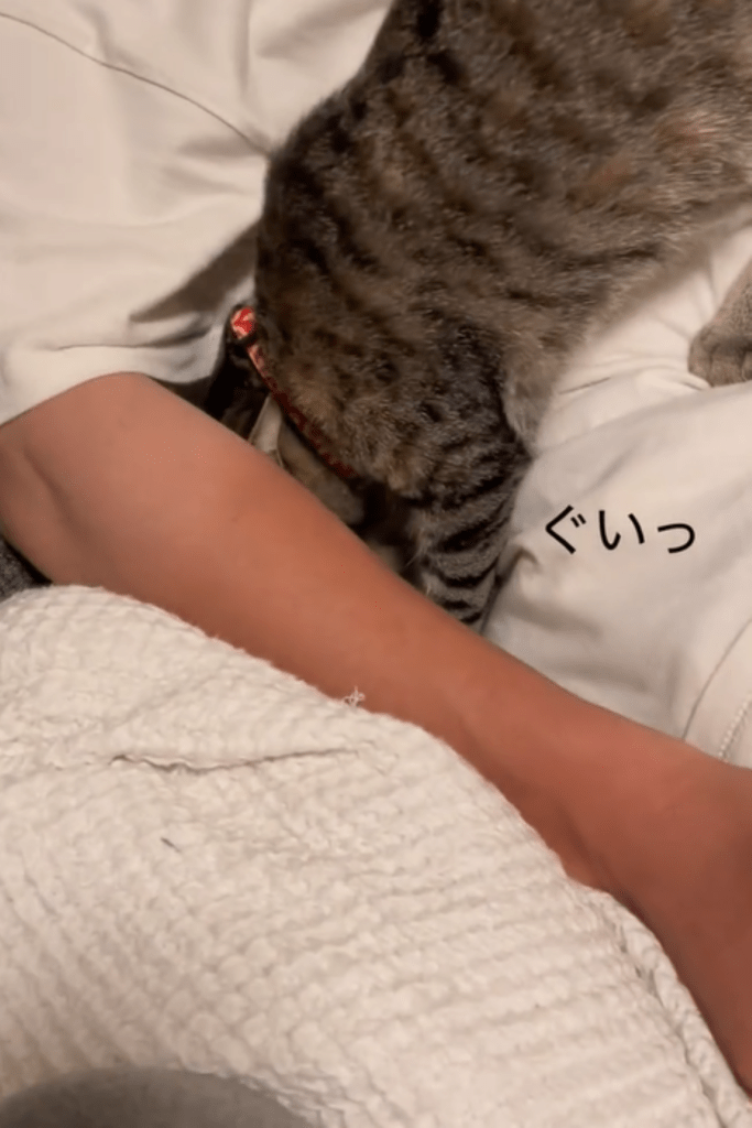 ぐいっと体をねじ込む（＠3cats.motherさんより提供）