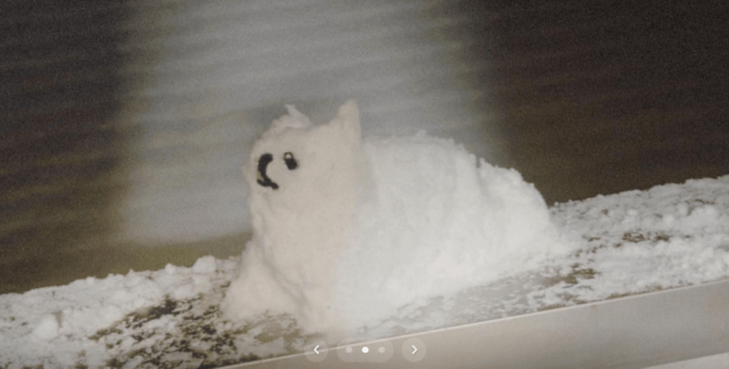 【実際の写真】友だちが作った雪だるま