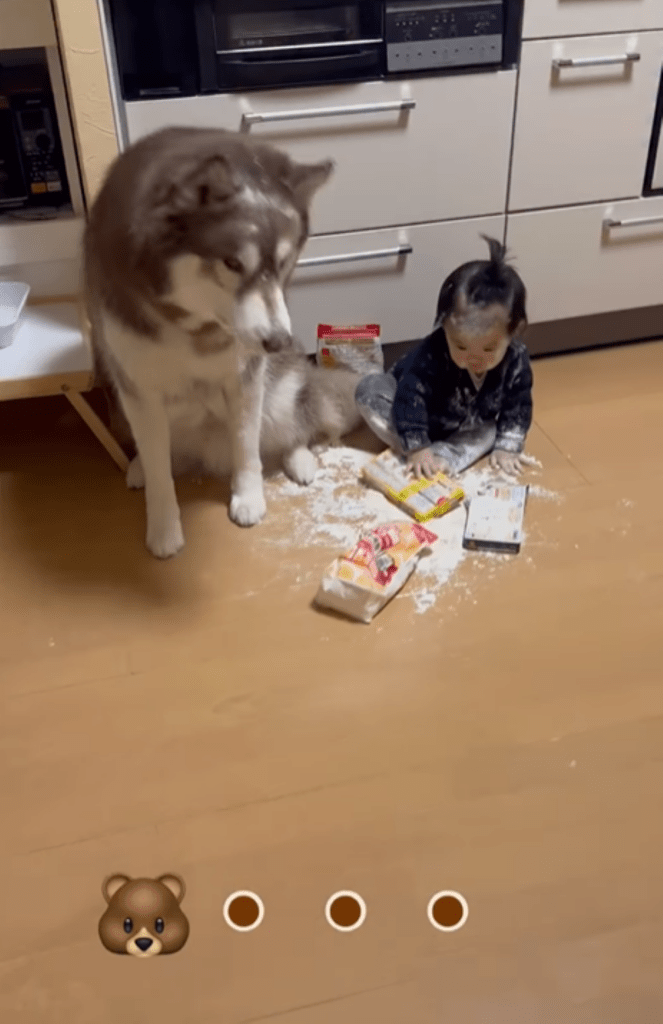 息子さんとたぬきちくん②（＠bokumarleyさんより提供）