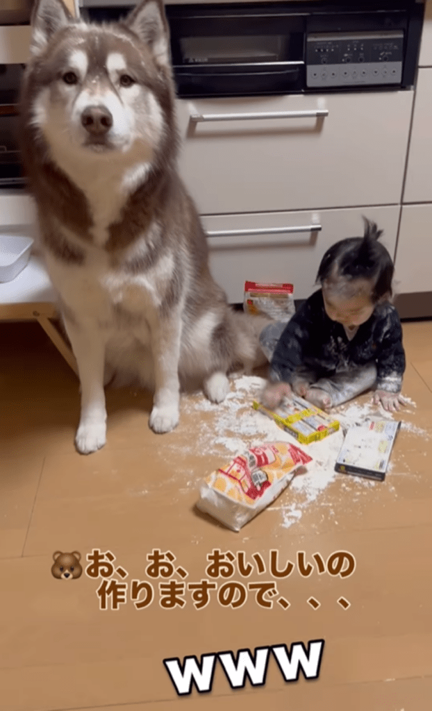 息子さんとたぬきちくん④（＠bokumarleyさんより提供）