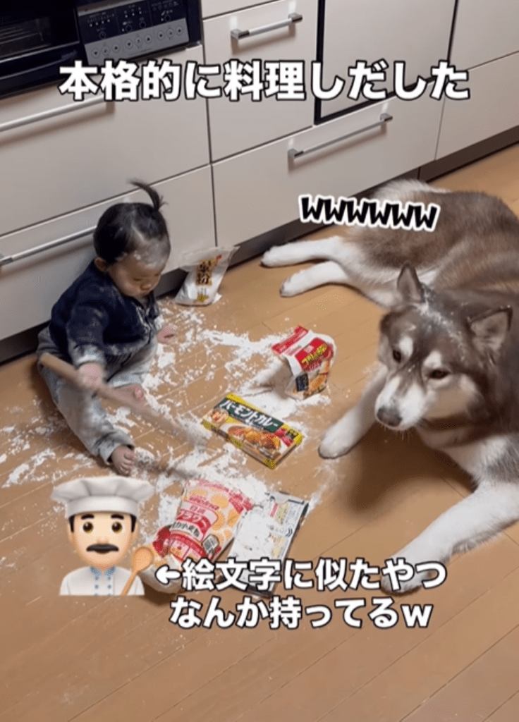 息子さんとたぬきちくん⑨（＠bokumarleyさんより提供）