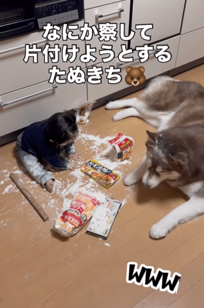 息子さんとたぬきちくん⑩（＠bokumarleyさんより提供）