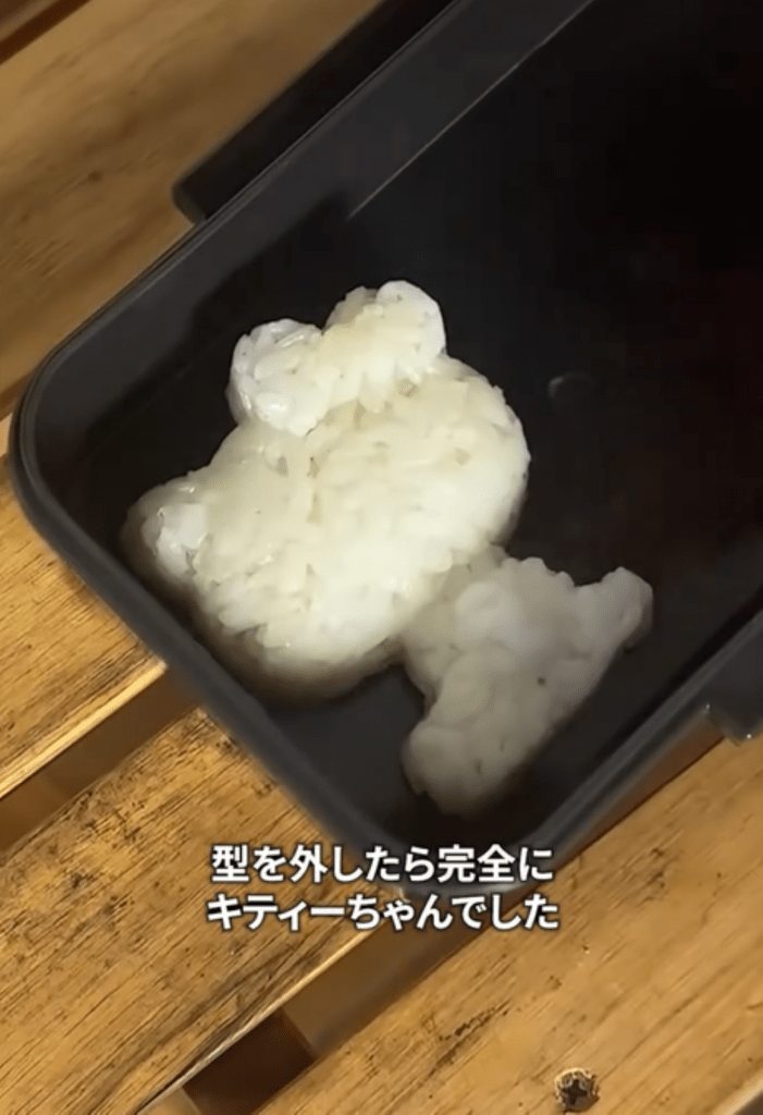 型を外してみた様子（＠taiyou_spさんより提供）