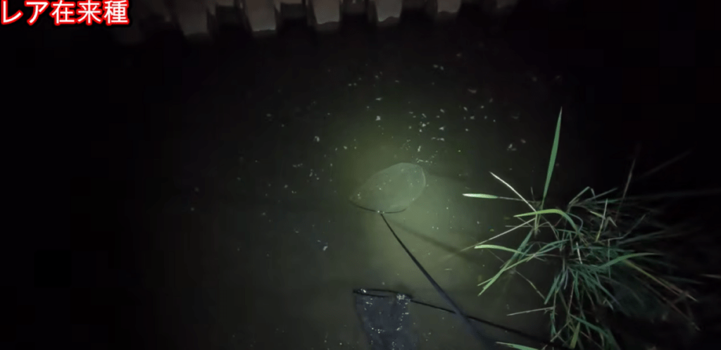 網で挟む作戦（＠Arakawa455さんより提供）