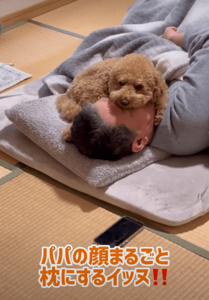 お父さんの顔に…（@cha_kotaroさんより提供）