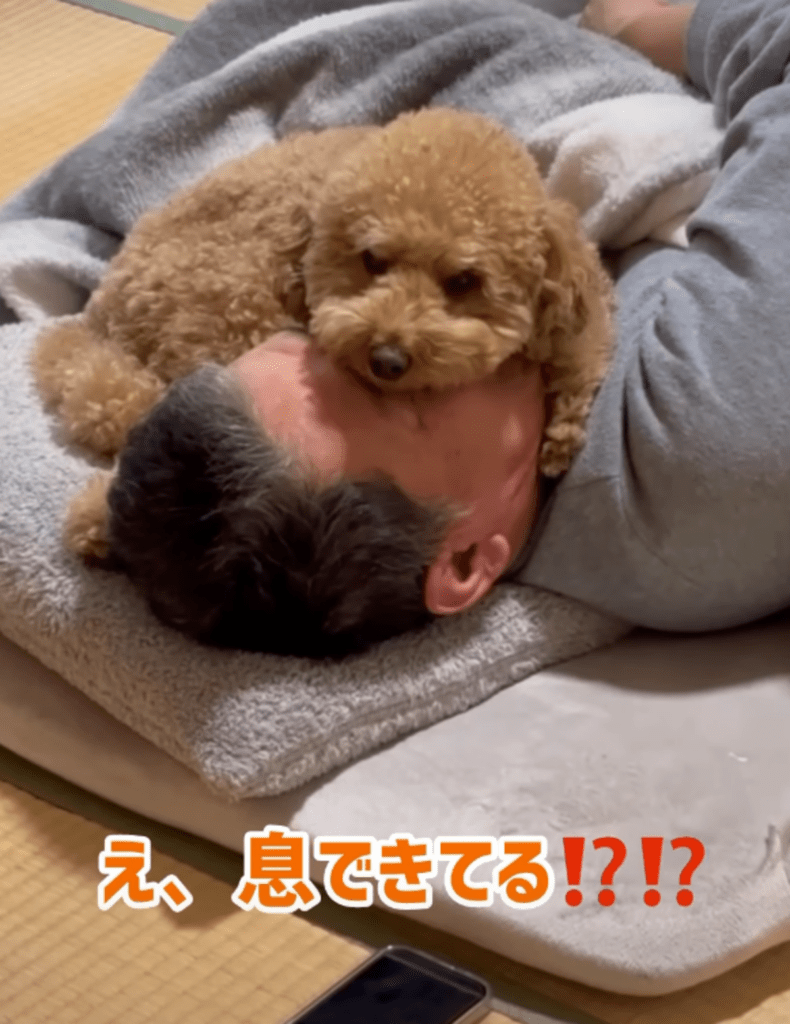 息できてる！？（@cha_kotaroさんより提供）