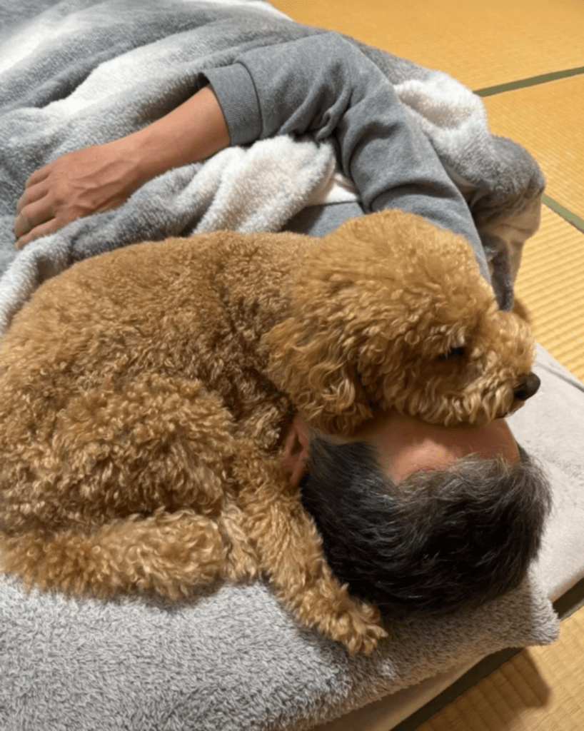 お父さんがだいすき（@cha_kotaroさんより提供）