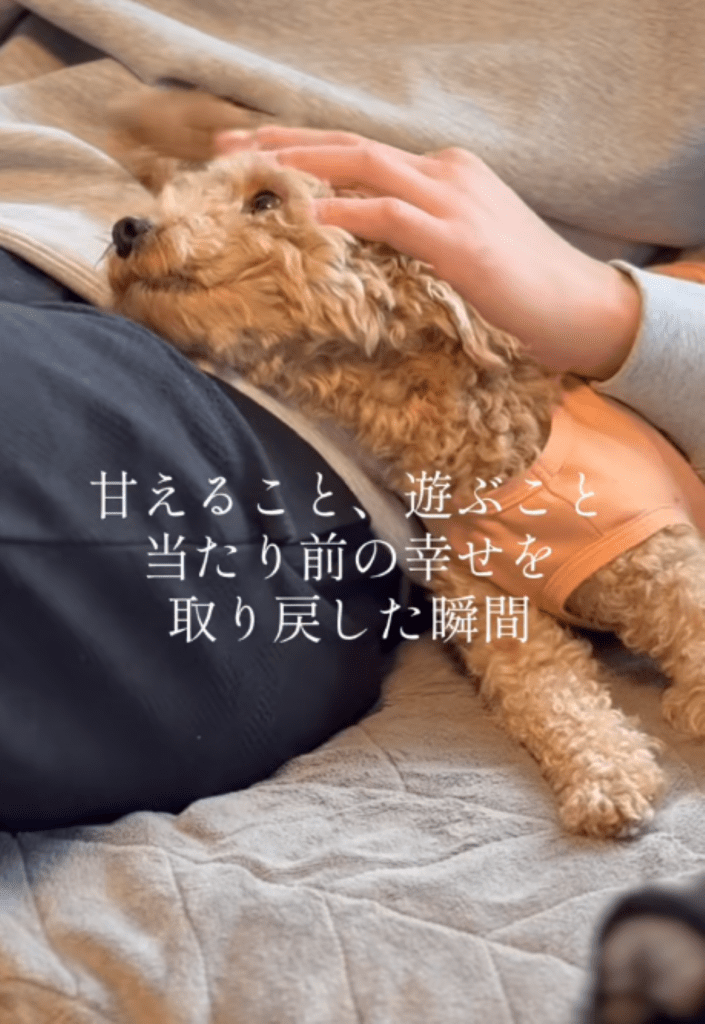 うっとり穏やかな様子（＠canon.animal.rescueさんより提供）