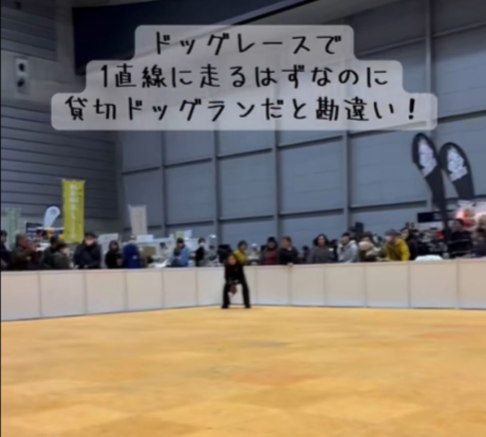 【実際の写真】レースが始まった直後の光景