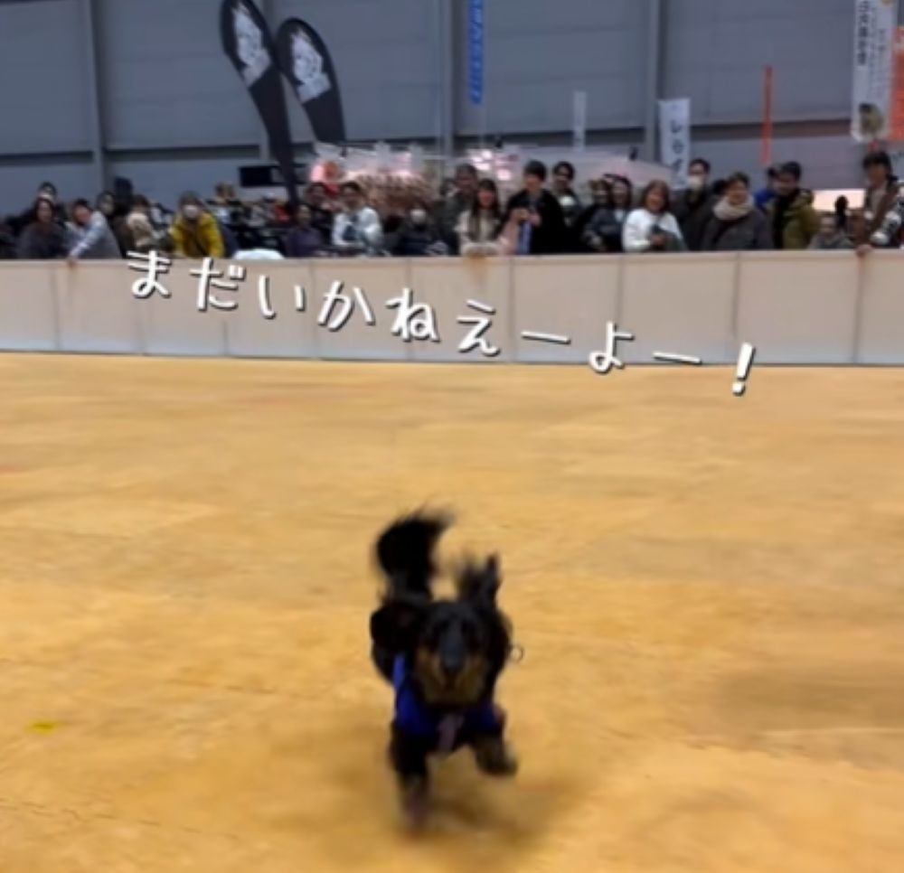 だいぶ近付いてきましたが…（＠halo__dayoさんより提供）