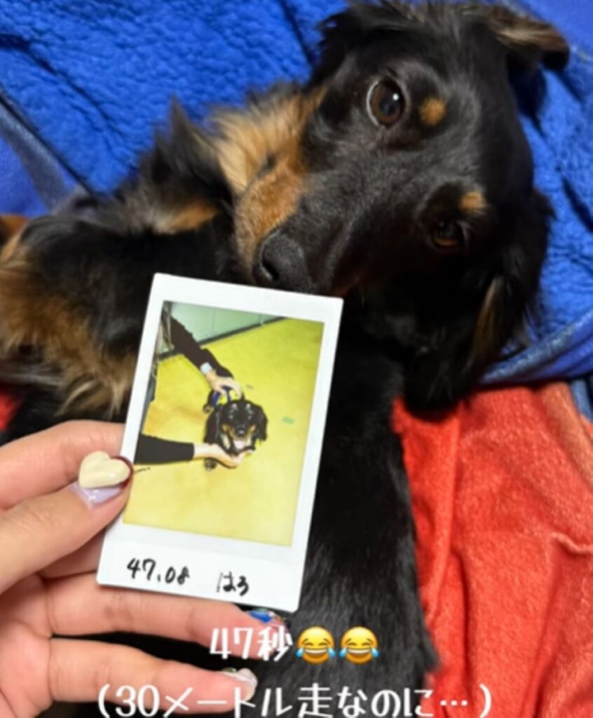 記録は47秒（＠halo__dayoさんより提供）