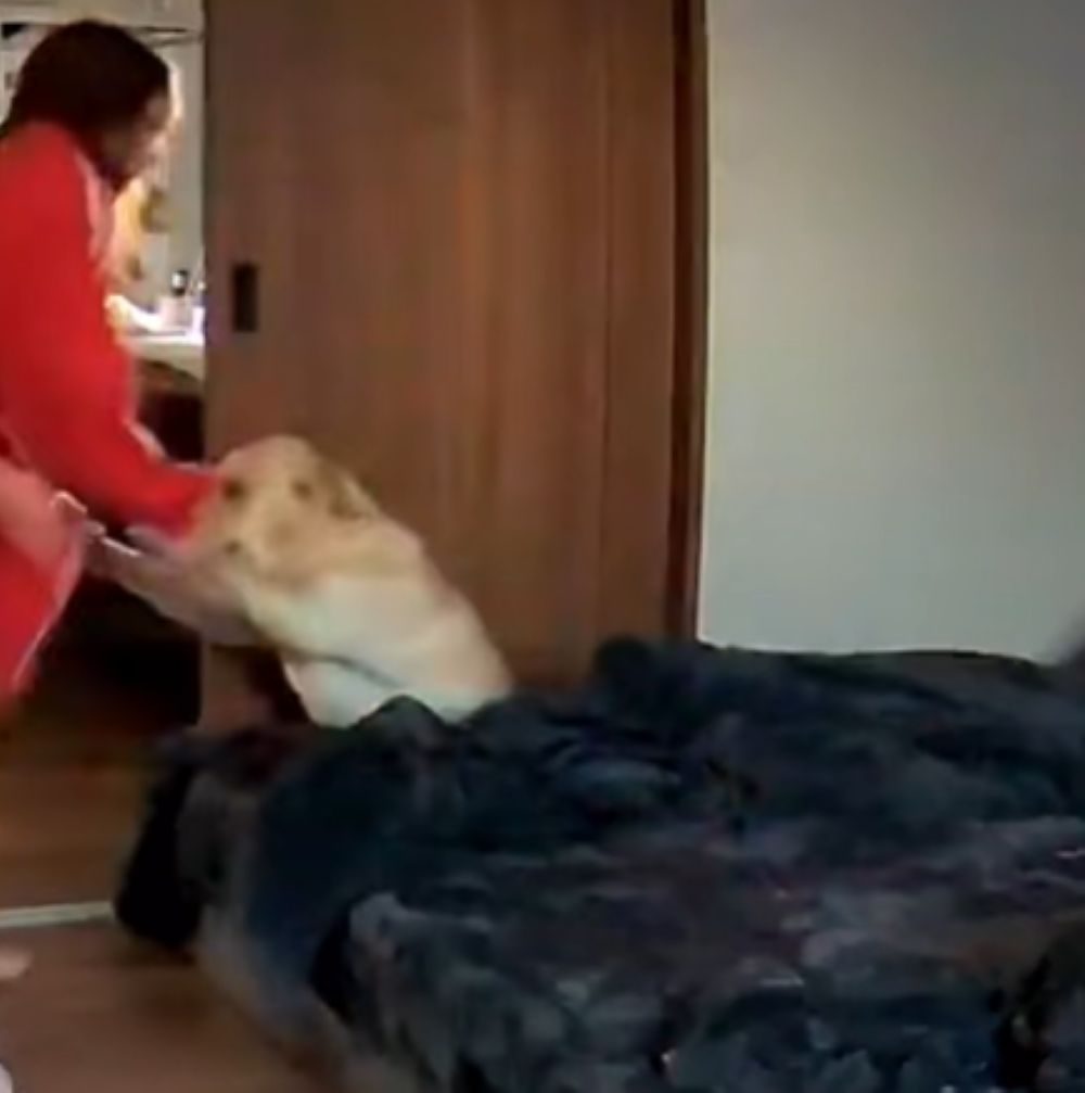 無事に救出（＠yunataaan___さんより提供）