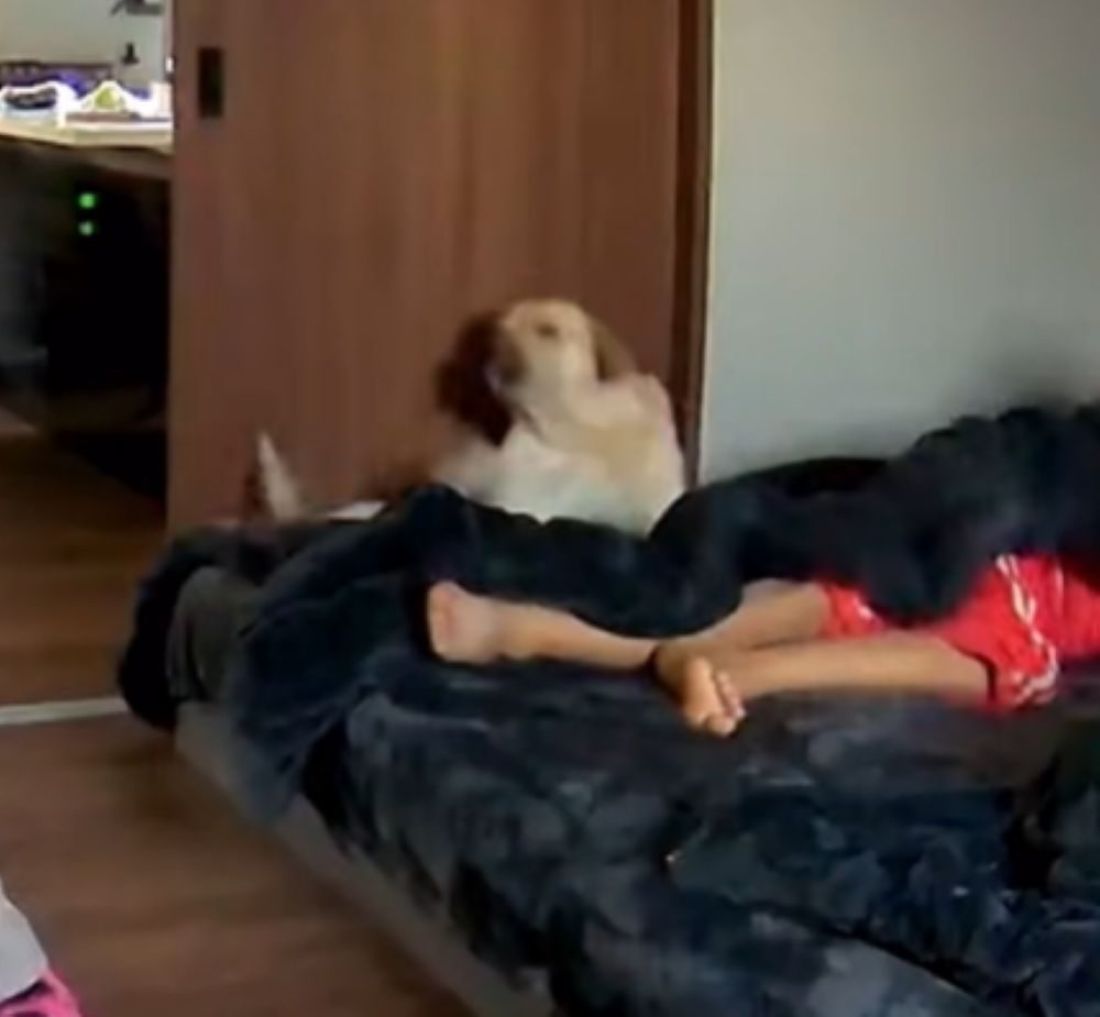 ピンチのレイスくん（＠yunataaan___さんより提供）