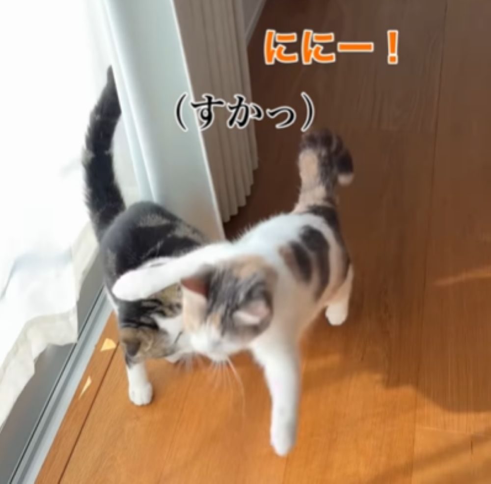 うまく当たりません（＠s.kotaro0530さんより提供）