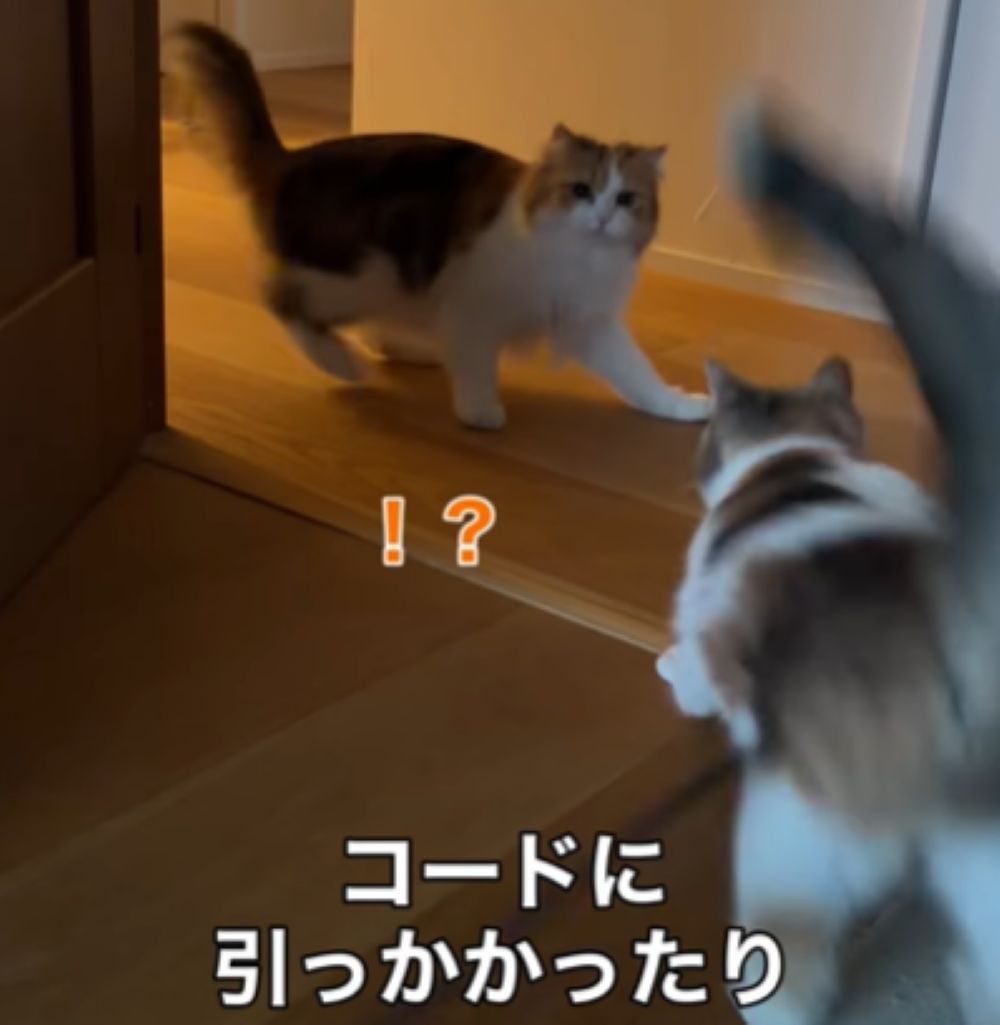 コードに引っかかってしまいました（＠s.kotaro0530さんより提供）